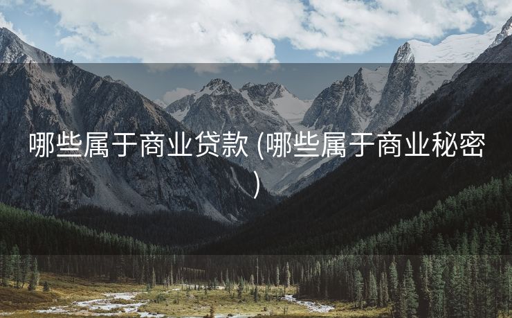 哪些属于商业贷款 (哪些属于商业秘密)