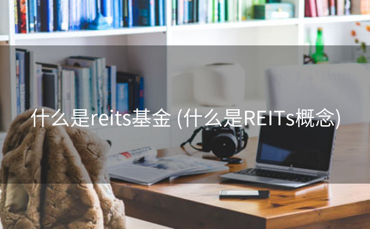 什么是reits基金 (什么是REITs概念)
