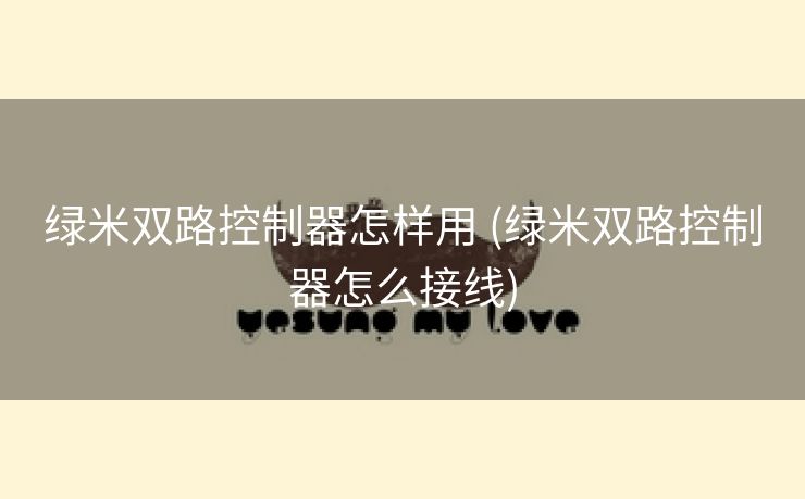 绿米双路控制器怎样用 (绿米双路控制器怎么接线)
