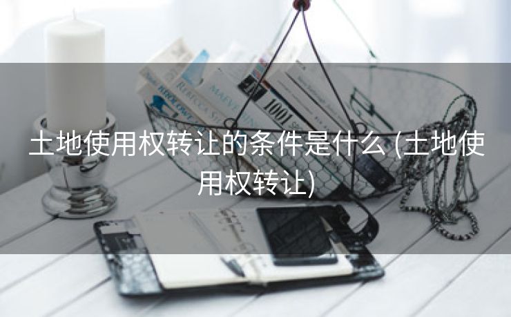 土地使用权转让的条件是什么 (土地使用权转让)