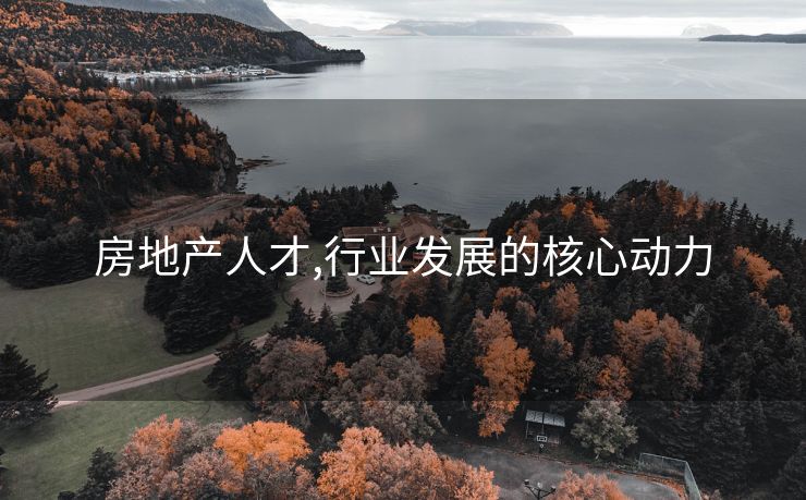 房地产人才,行业发展的核心动力