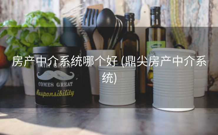 房产中介系统哪个好 (鼎尖房产中介系统)
