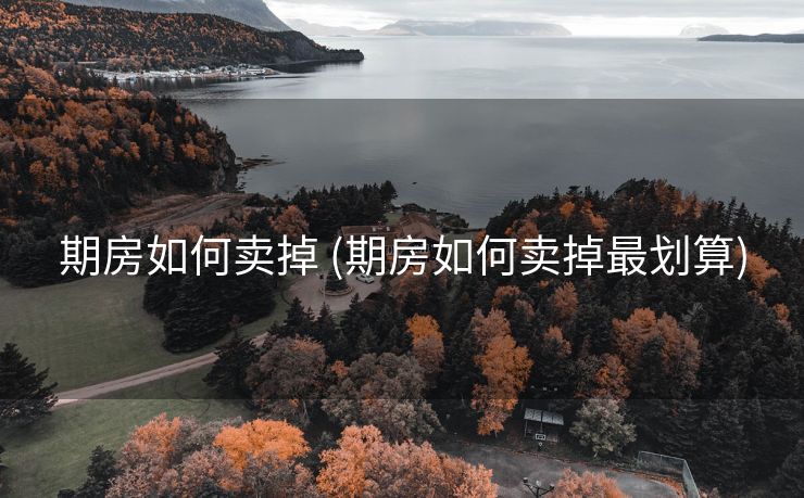 期房如何卖掉 (期房如何卖掉最划算)