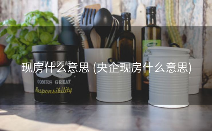 现房什么意思 (央企现房什么意思)