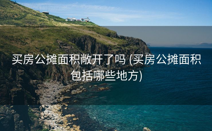 买房公摊面积敞开了吗 (买房公摊面积包括哪些地方)