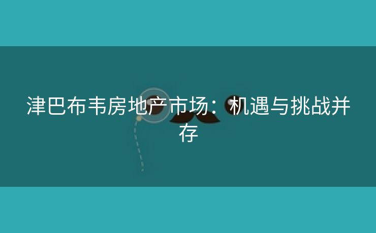 津巴布韦房地产市场：机遇与挑战并存