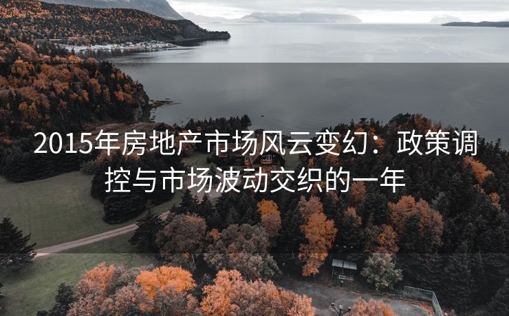 2015年房地产市场风云变幻：政策调控与市场波动交织的一年