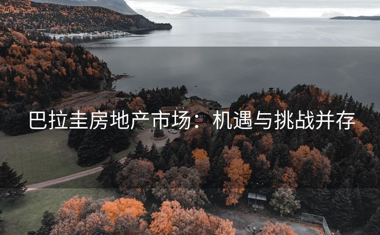 巴拉圭房地产市场：机遇与挑战并存