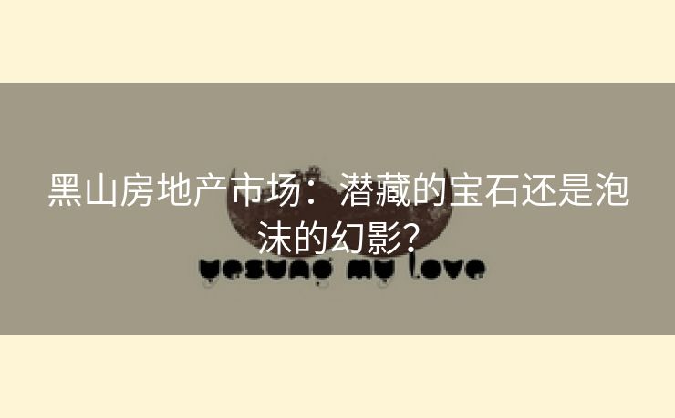 黑山房地产市场：潜藏的宝石还是泡沫的幻影？