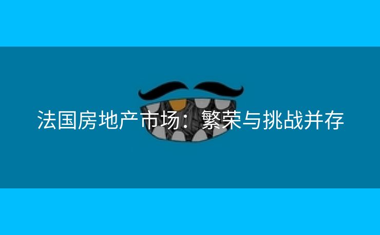 法国房地产市场：繁荣与挑战并存