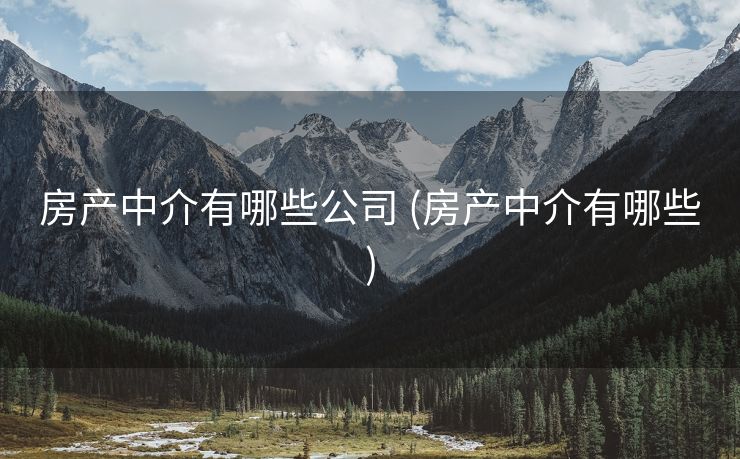 房产中介有哪些公司 (房产中介有哪些)