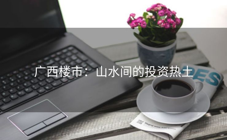 广西楼市：山水间的投资热土