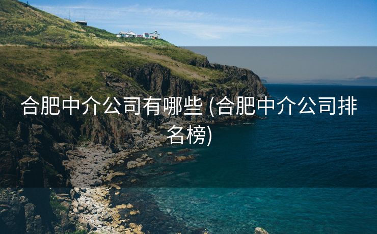 合肥中介公司有哪些 (合肥中介公司排名榜)