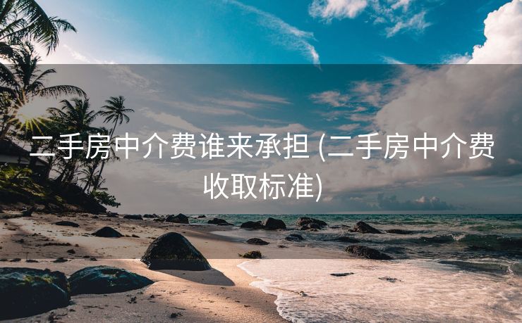 二手房中介费谁来承担 (二手房中介费收取标准)