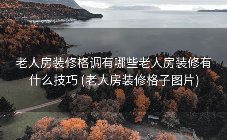 老人房装修格调有哪些老人房装修有什么技巧 (老人房装修格子图片)