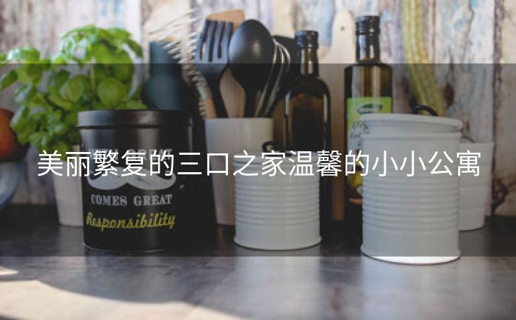 美丽繁复的三口之家温馨的小小公寓