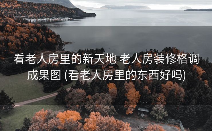 看老人房里的新天地 老人房装修格调成果图 (看老人房里的东西好吗)