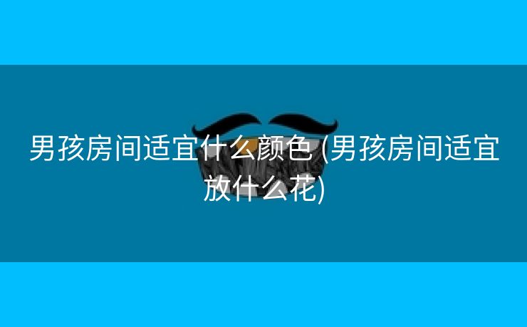 男孩房间适宜什么颜色 (男孩房间适宜放什么花)