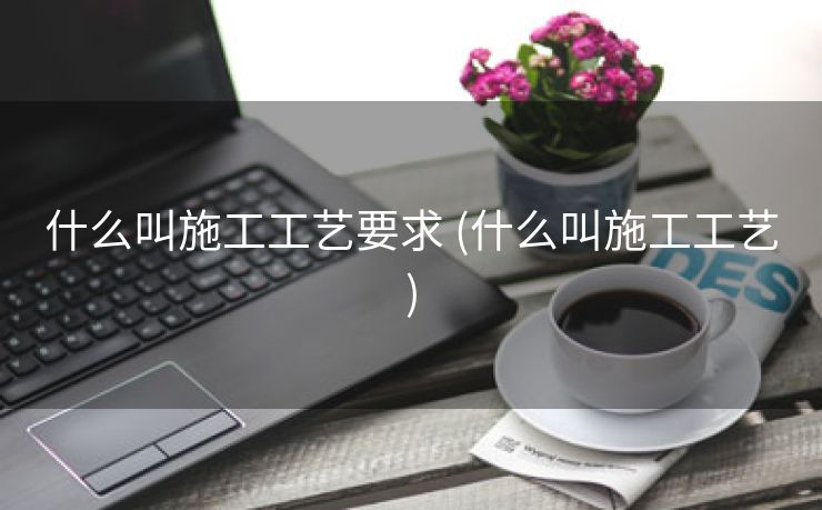 什么叫施工工艺要求 (什么叫施工工艺)