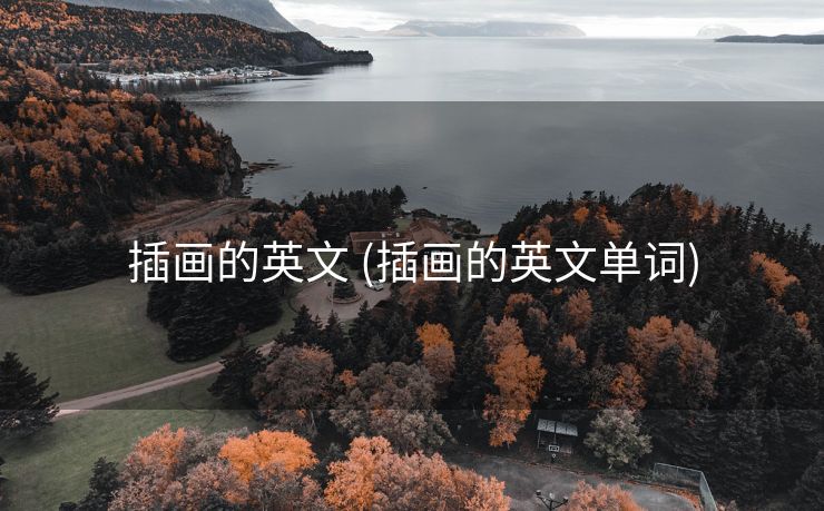 插画的英文 (插画的英文单词)