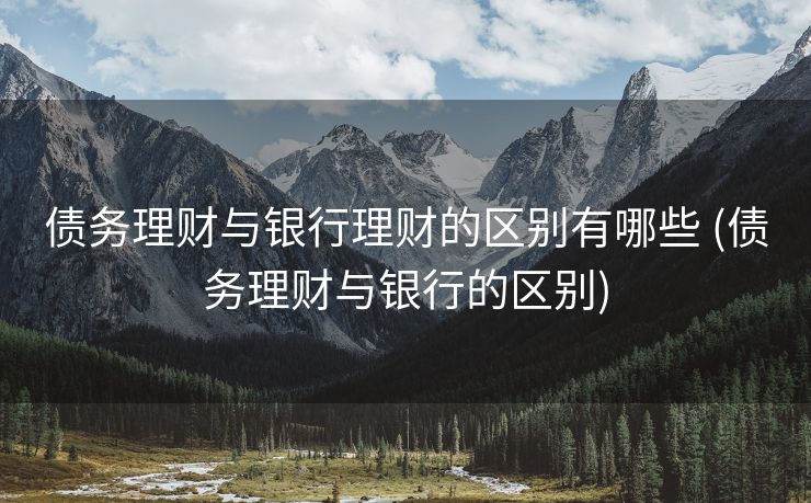 债务理财与银行理财的区别有哪些 (债务理财与银行的区别)