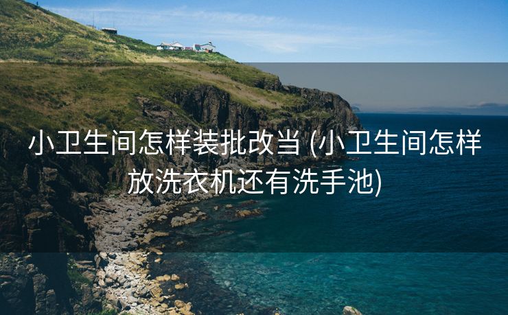 小卫生间怎样装批改当 (小卫生间怎样放洗衣机还有洗手池)