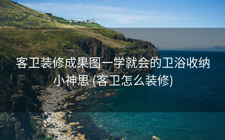 客卫装修成果图一学就会的卫浴收纳小神思 (客卫怎么装修)