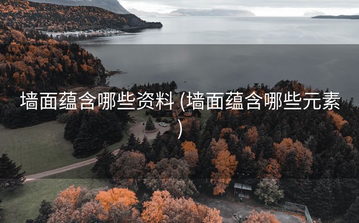 墙面蕴含哪些资料 (墙面蕴含哪些元素)