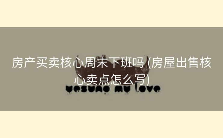 房产买卖核心周末下班吗 (房屋出售核心卖点怎么写)