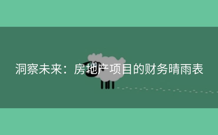 洞察未来：房地产项目的财务晴雨表