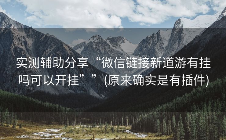 实测辅助分享“微信链接新道游有挂吗可以开挂””(原来确实是有插件)