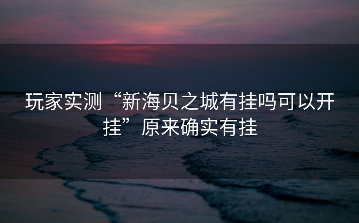 玩家实测“新海贝之城有挂吗可以开挂”原来确实有挂