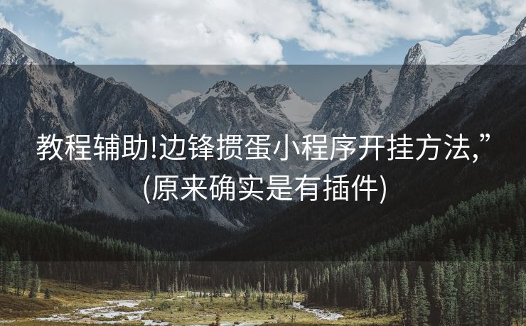 教程辅助!边锋掼蛋小程序开挂方法,”(原来确实是有插件)